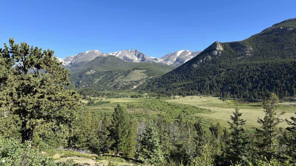 Mountain valley with pine trees and distant snow-capped peaks under clear blue sky.