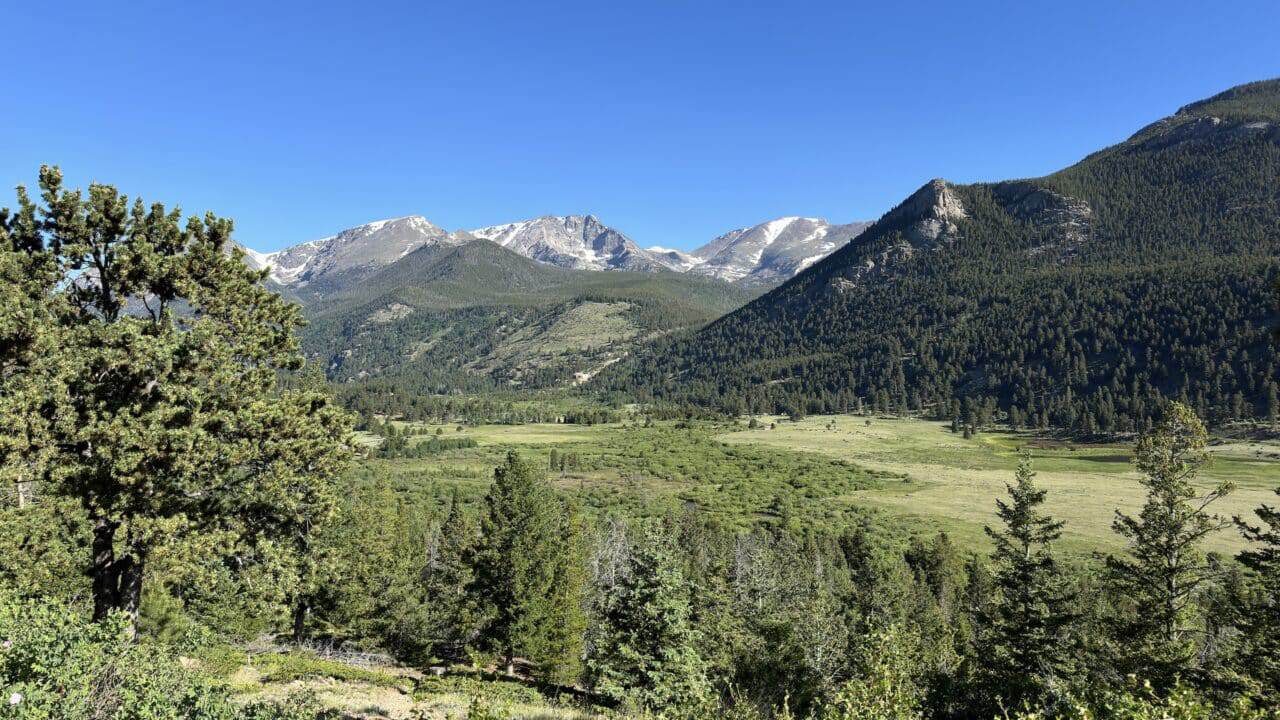 Mountain valley with pine trees and distant snow-capped peaks under clear blue sky.