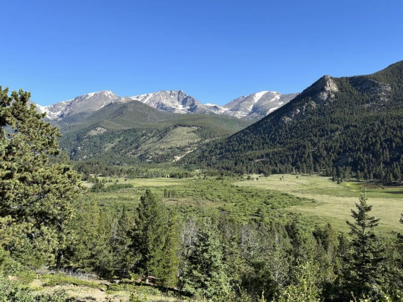 Mountain valley with pine trees and distant snow-capped peaks under clear blue sky.