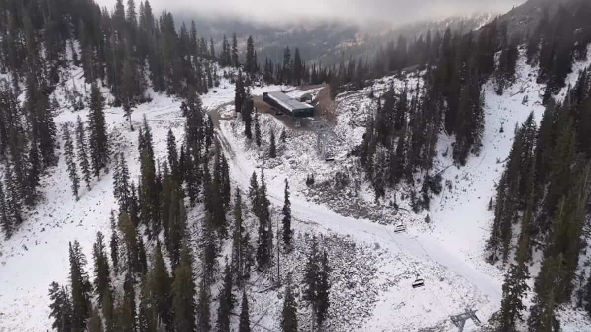 Snow-covered mountain lodge surrounded by pine trees.