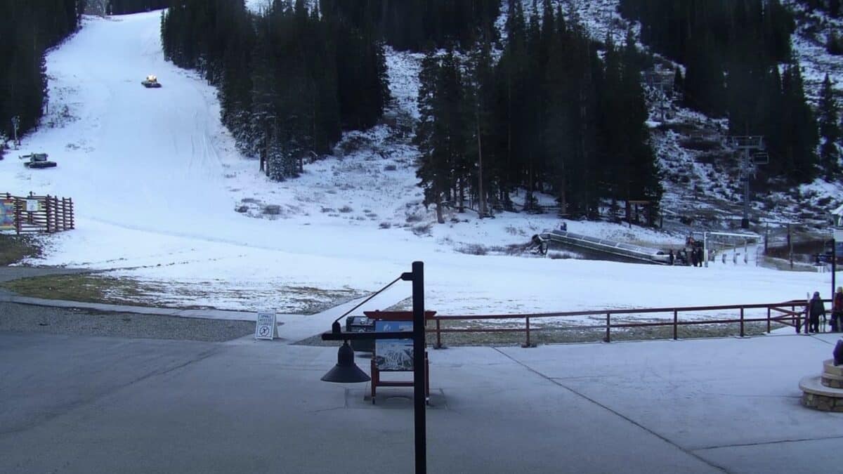 Snow-covered landscape with trees, ski slope, and wooden fence.