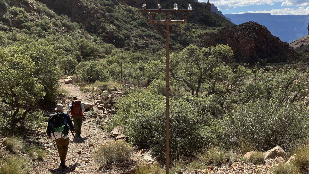 Section of the Transcanyon Telephone Line adjacent to the North Kaibab Trail.