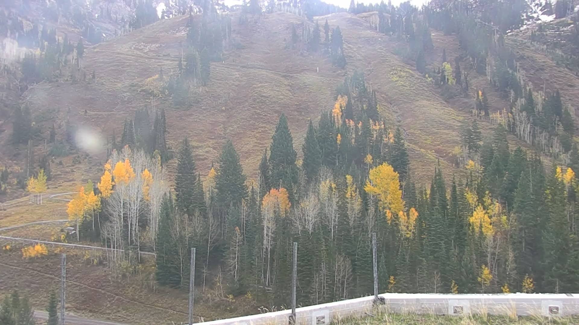 Snow stick measuring snow levels in Utah mountain landscape.