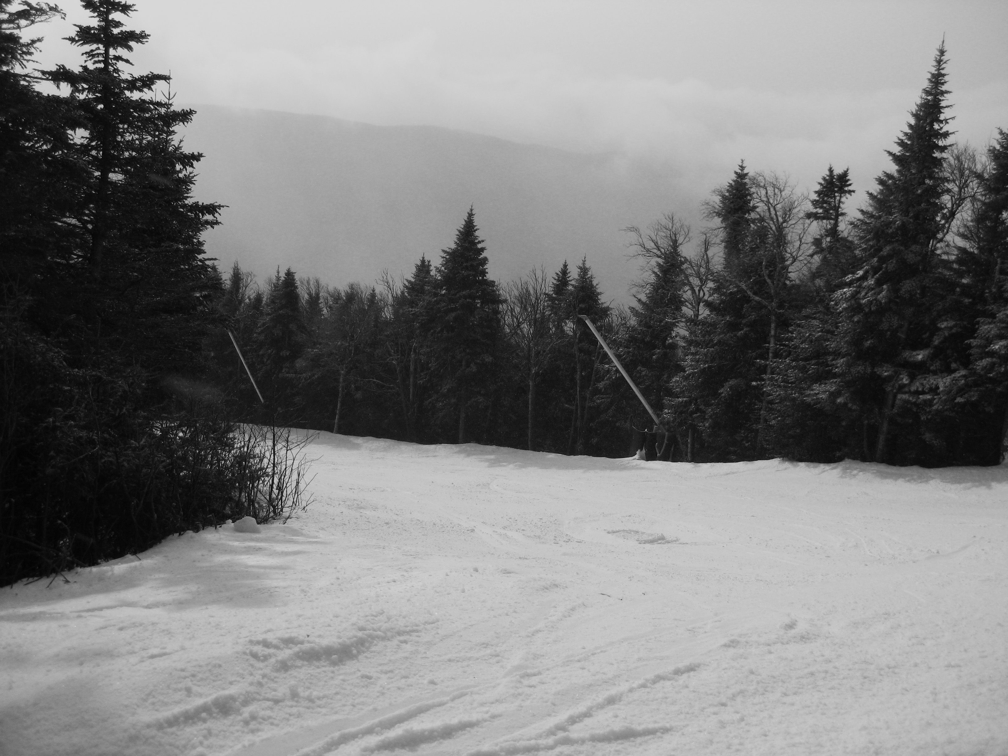 Stowe: Black and White