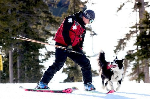 Unofficial Networks, Unofficial whistler, Unofficialwhistler.com, unofficialnetworks.com, ski patrol, whistler ski patrol, local review, whistler mountain, mountain safety