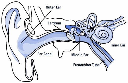 unofficial whistler, unofficial networks, unofficialnetworks.com, unofficialwhistler.com, headphones, Beats, dr dre, beats by dr dre, earbuds, ear, sound, control talk feature