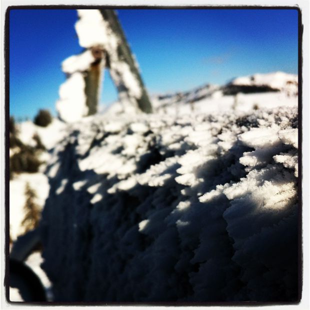 Rimey Rime