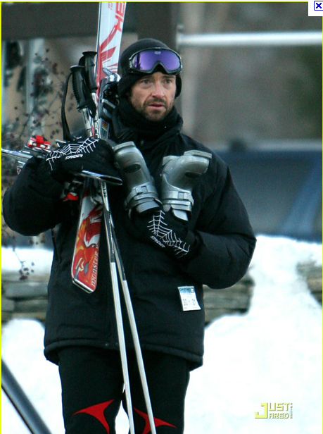 Wolverine carrying skis