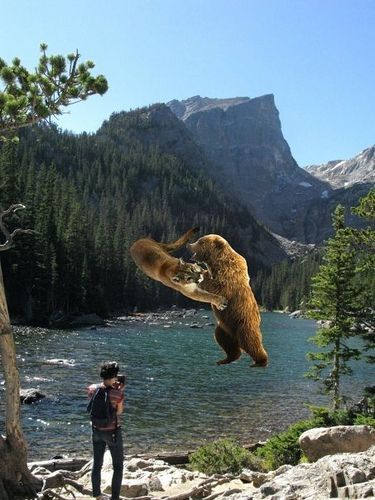 Man Attacked By Mountain Lion, Saved By Bear | #TBT | Unofficial Networks