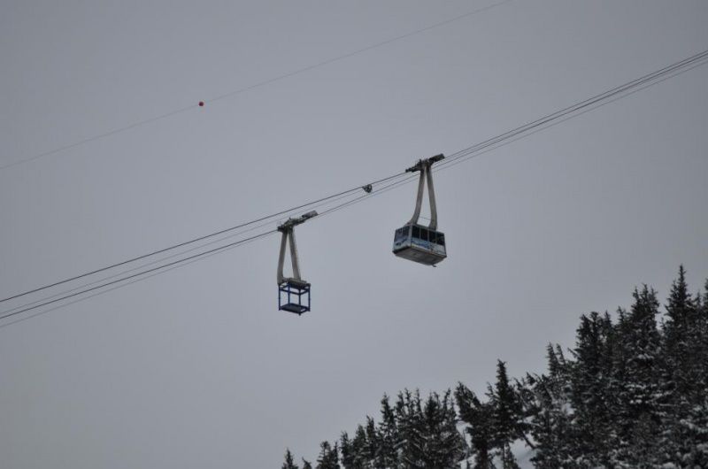 Alyeska Aerial Tramway Partially Reopened | Unofficial Networks