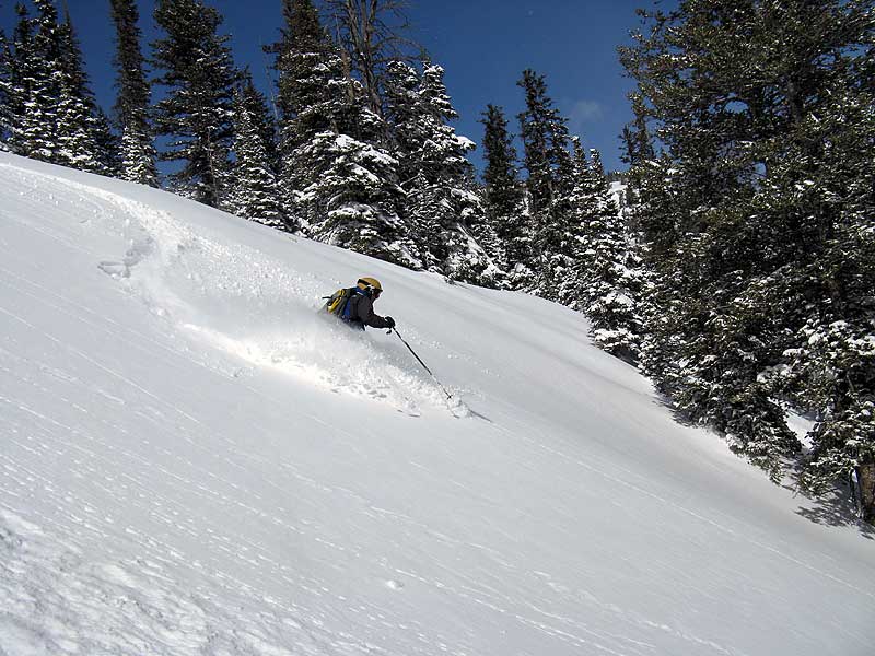 Uphill Skiing Gains Traction In Colorado | NPR | Unofficial Networks