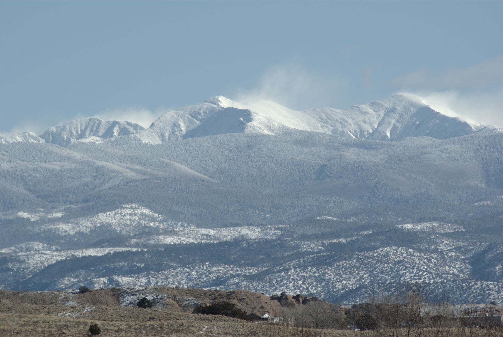 Pecos Wilderness, Illegal, glading