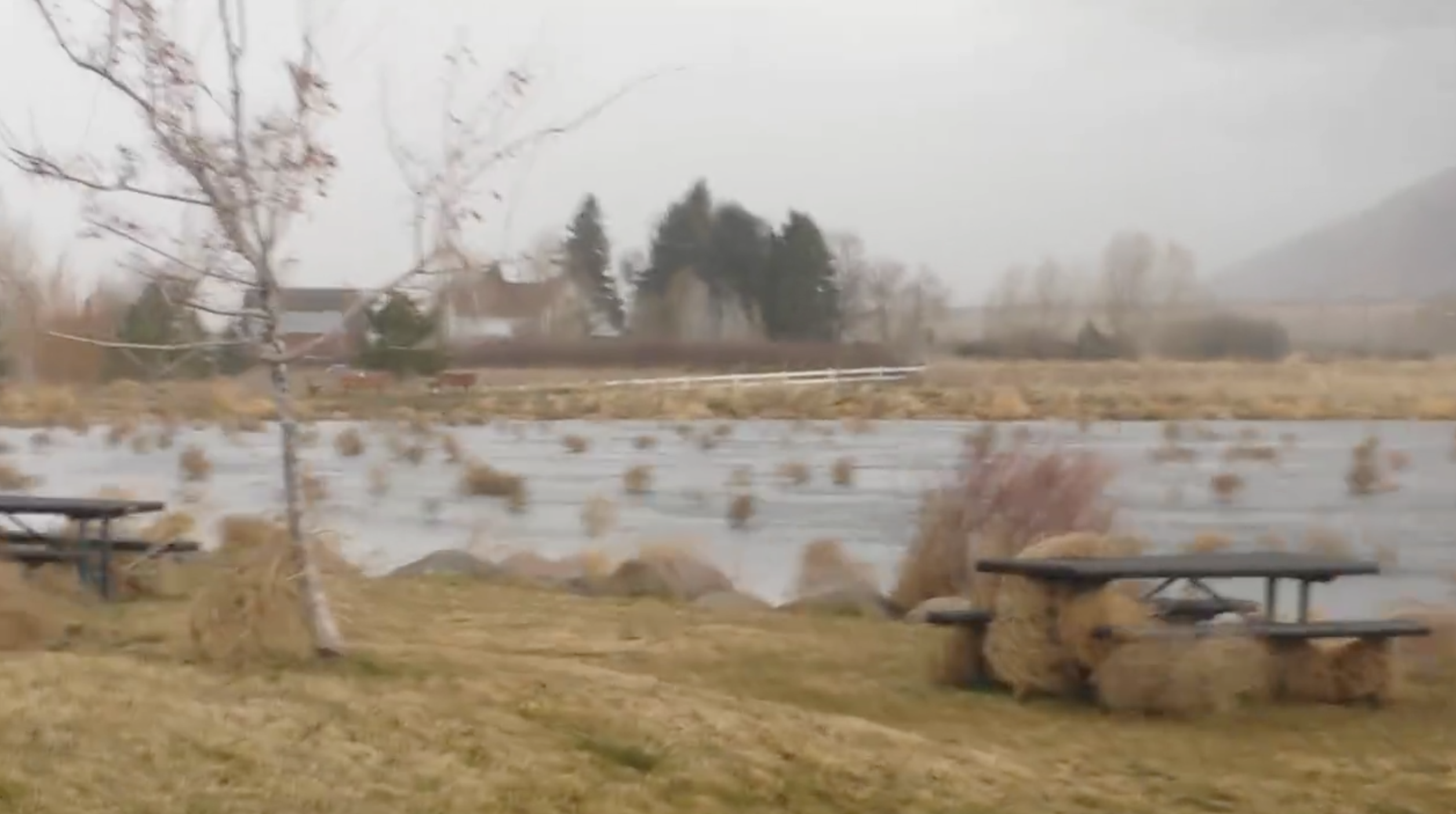 Watch ‘Apocalypse’ Winds Hit Montana Send Thousands Of Tumbleweeds Flying