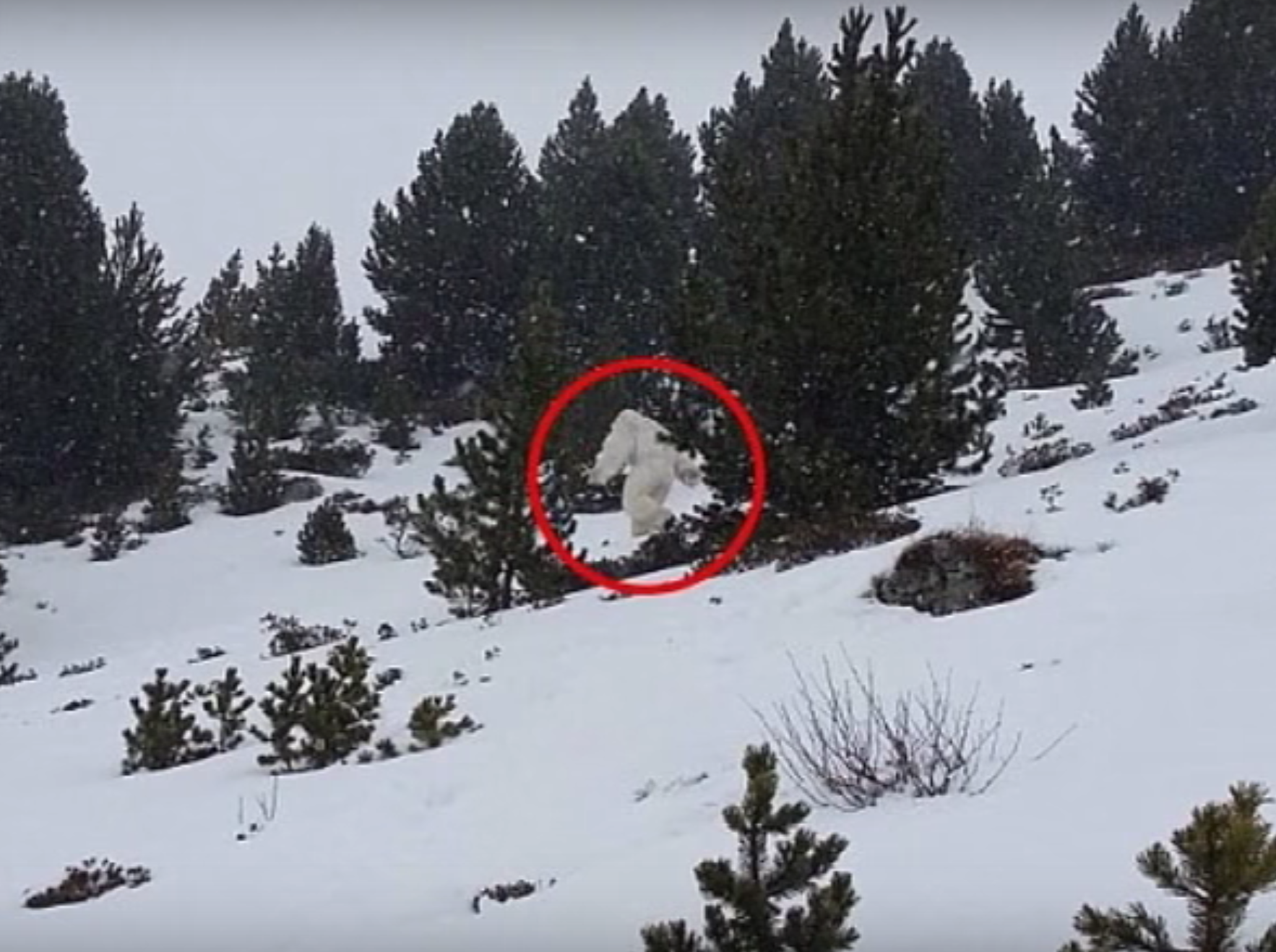 Watch Yeti Spotted On Ski Hill in Spain