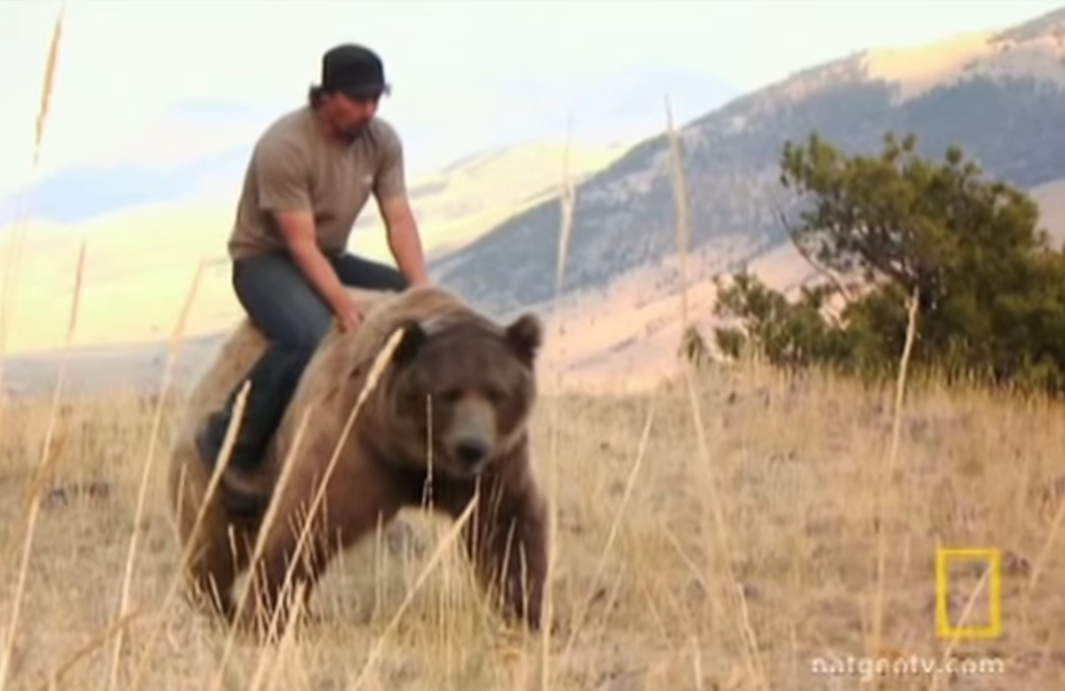 This Guy Has A Grizzly Bear As A Best Friend