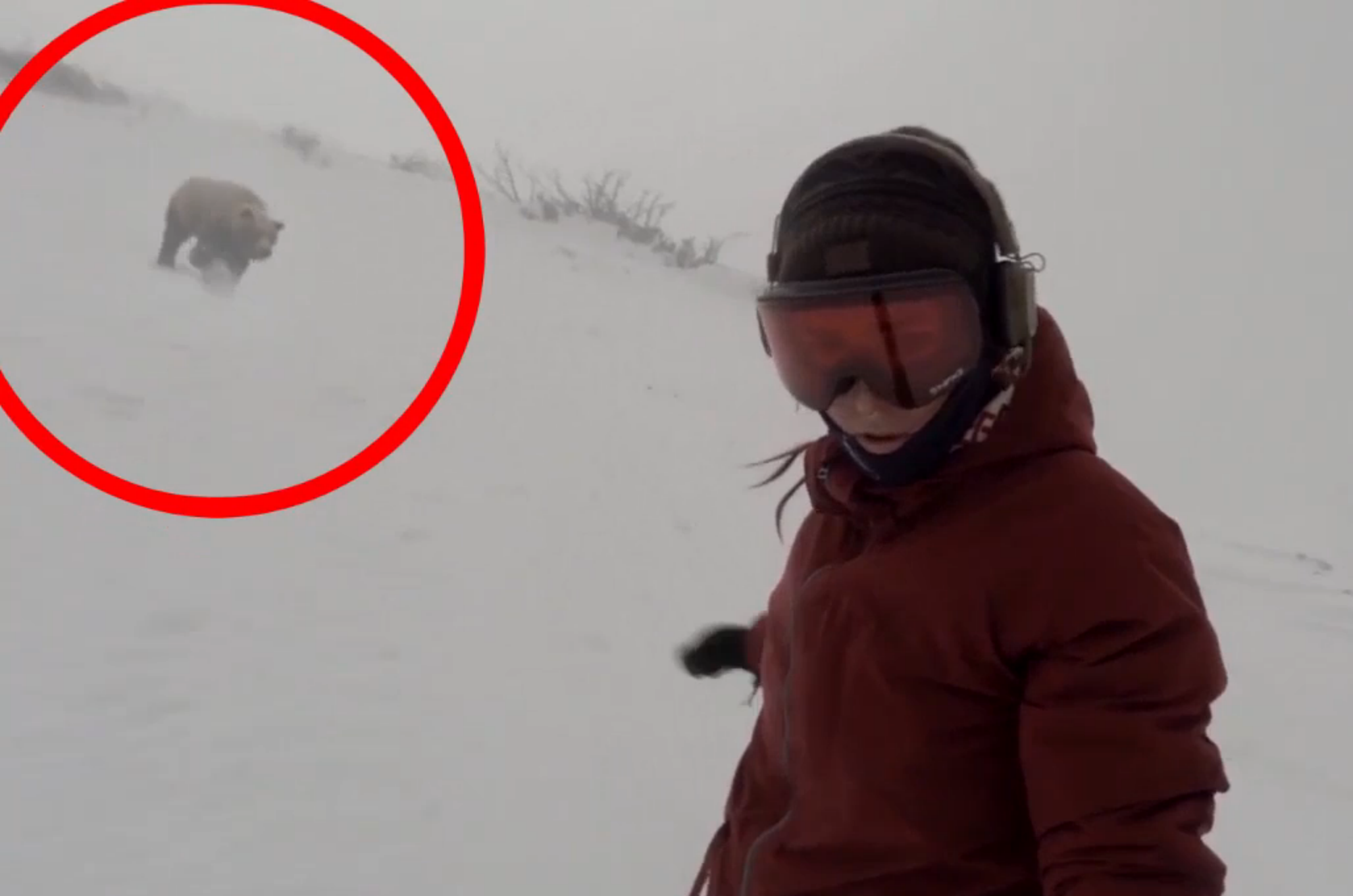 Snowboarder Girl Chased By Bear Real Or Fake WATCH: Snowboarder Has No Idea She’s Being Chased By A Bear