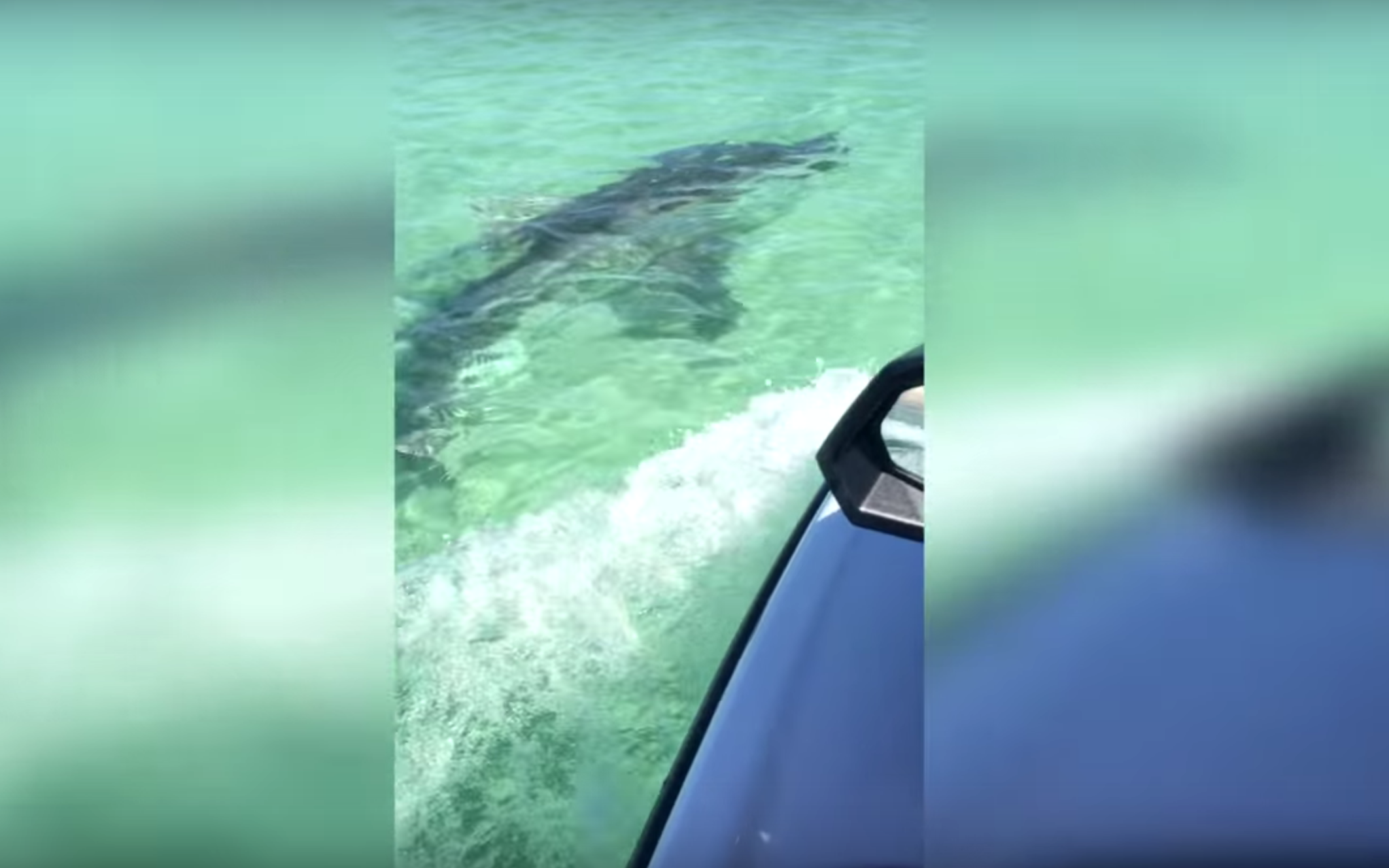 Video: Shark Ramming A Jet Ski Is Absolutely Horrifying