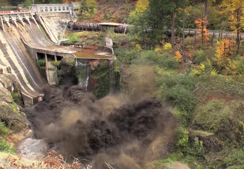 VIDEO Washington’s Elwha River Thrives After Largest Dam Removal in U