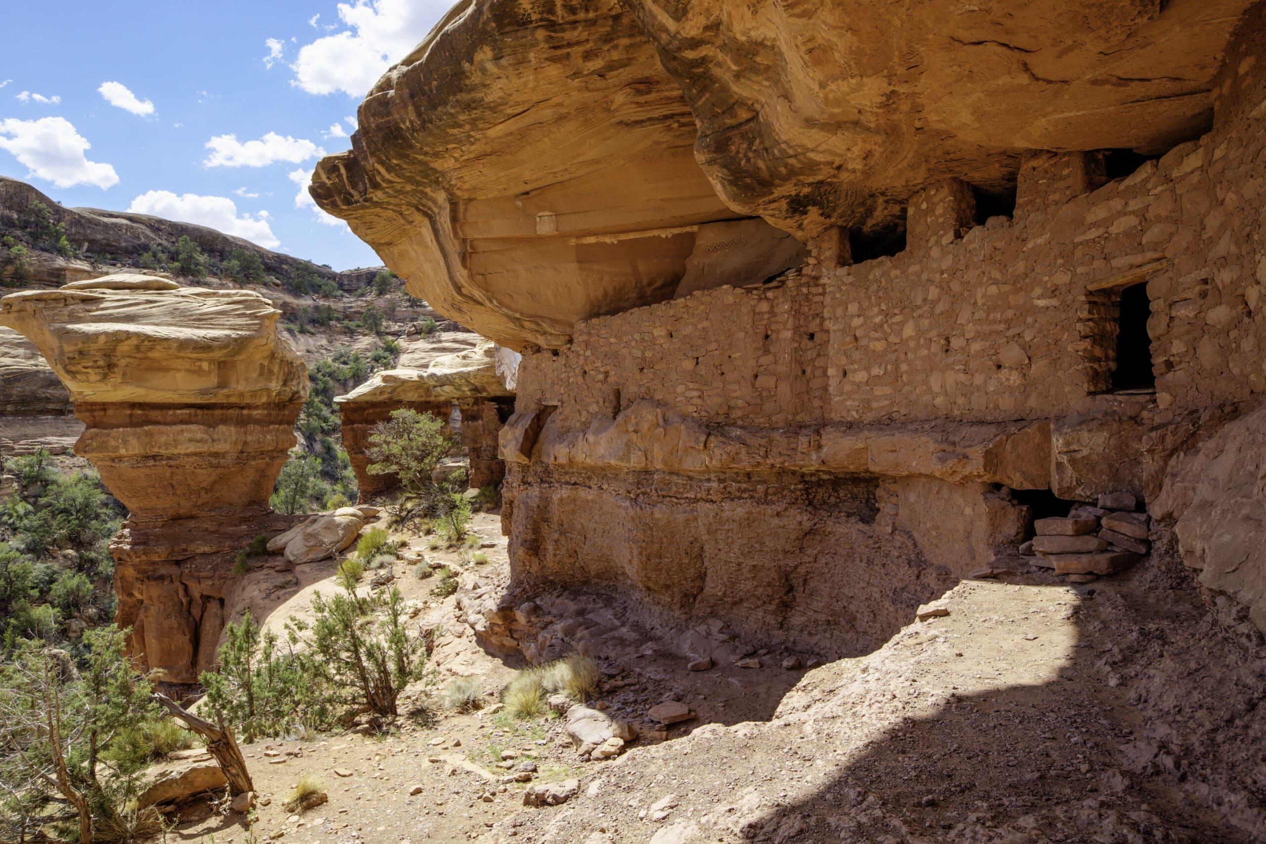 Obama Designates Bear Ears As A National Monument | Protects 1.35 Million Acres In Utah