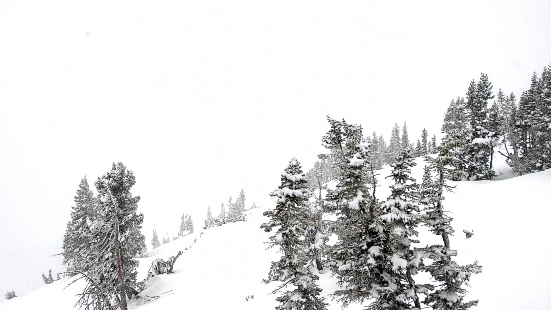 NOAA Up To 45″ Forecasted For Jackson Hole’s Upper Elevations! Unofficial Networks