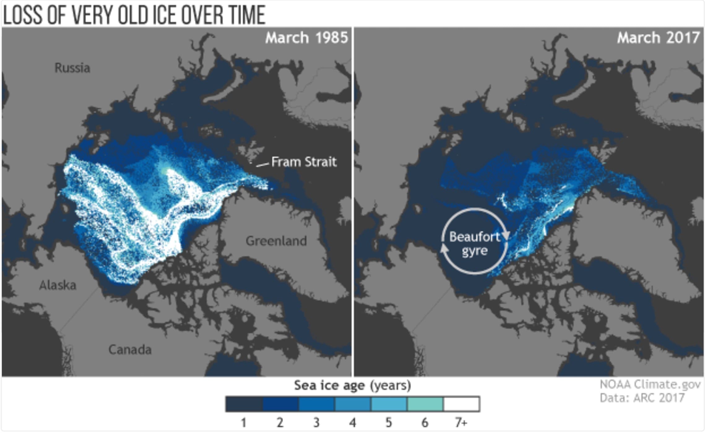 Arctic Sea Ice Could Be Gone By 2030 | First Time in 5,000 Years ...