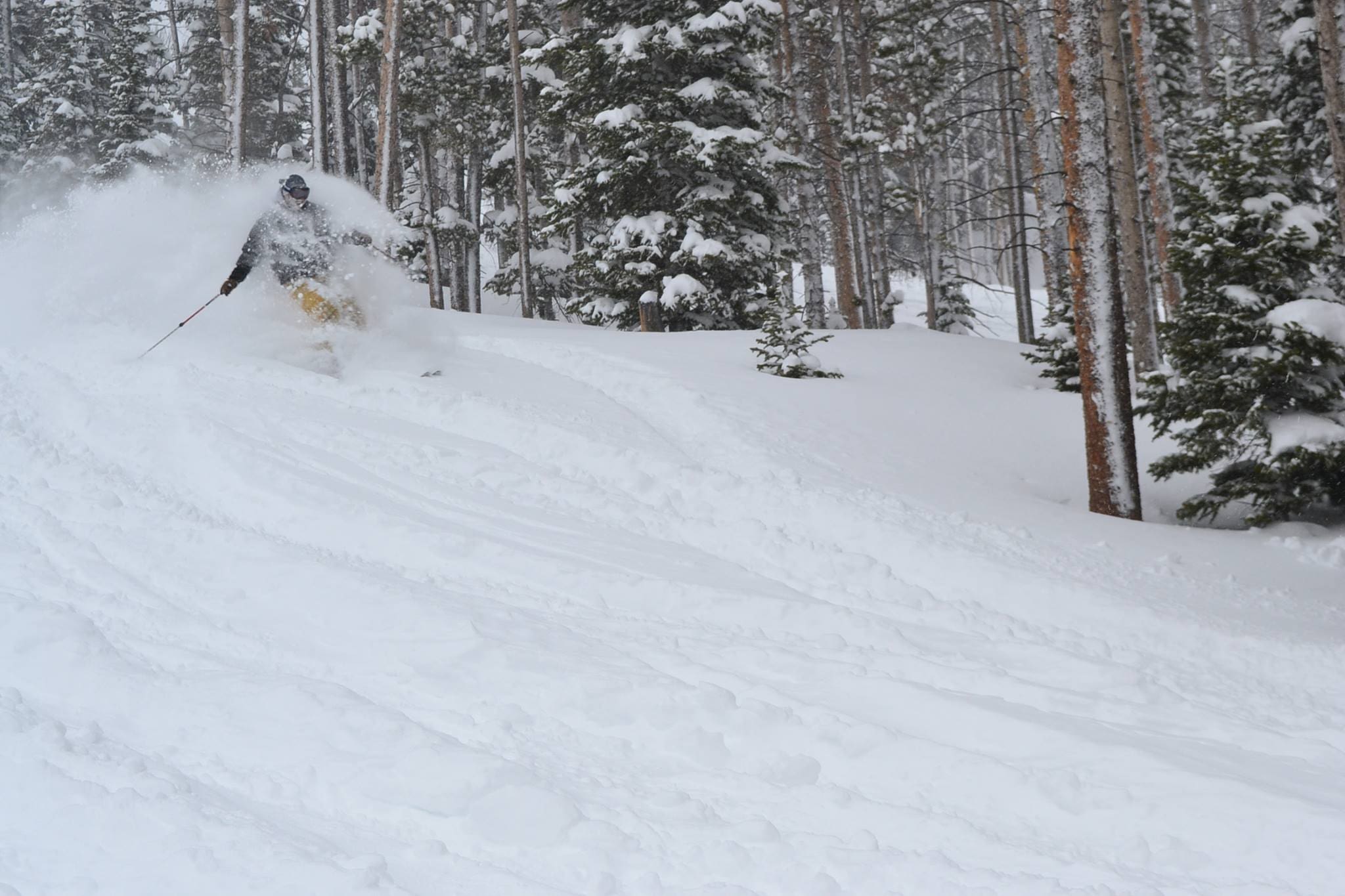 Ski Hill Shoutout Snowy Range Ski Area Centennial, WY