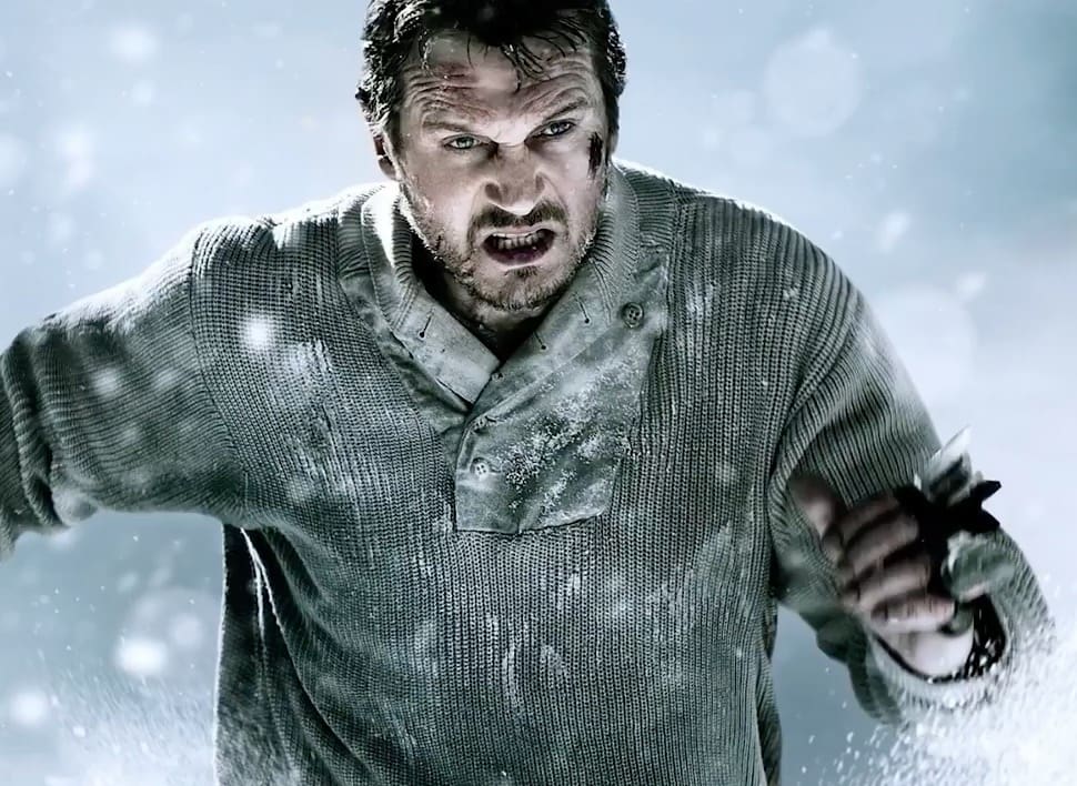 Liam Neeson To Star As Crazy Ass Snowplow Driver
