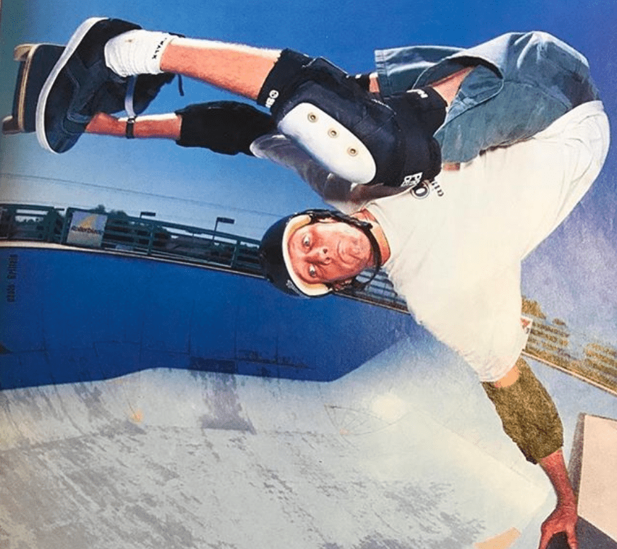 The hawk quizlet image