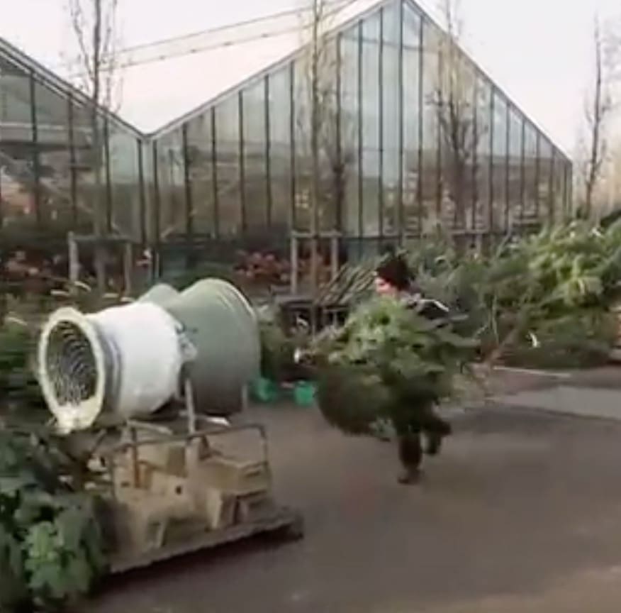 Man Jumping Through Christmas Tree Wrapper Is Suprisingly Hilarious