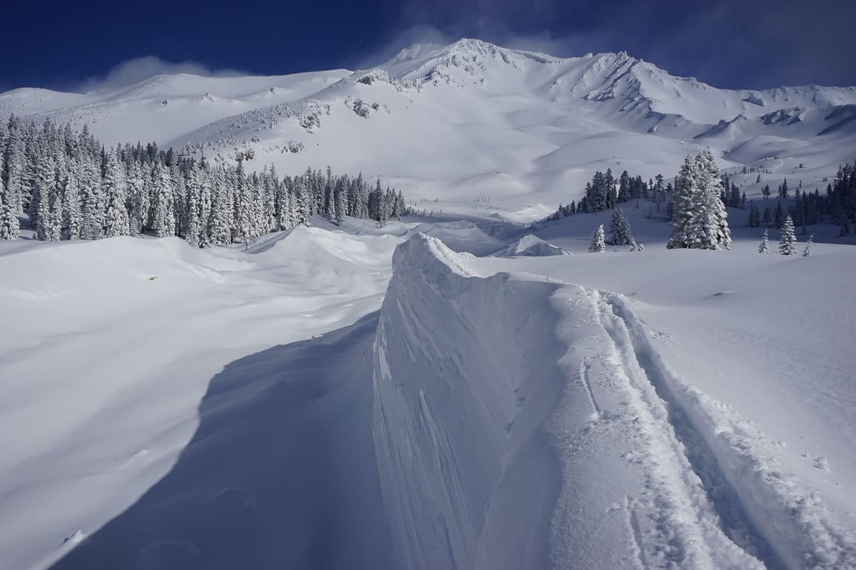 Massive 4 Mile Long ‘100-year Avalanche’ Triggered In California ...