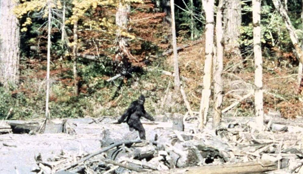 Camper opens fire on sasquatch at kentucky national park unofficial
