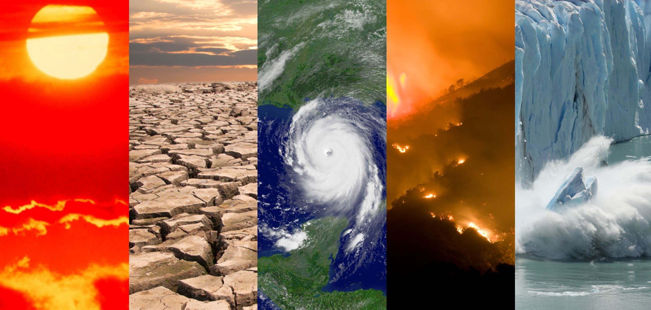 NOAA: July Was The Hottest Month Ever Recorded On Planet Earth