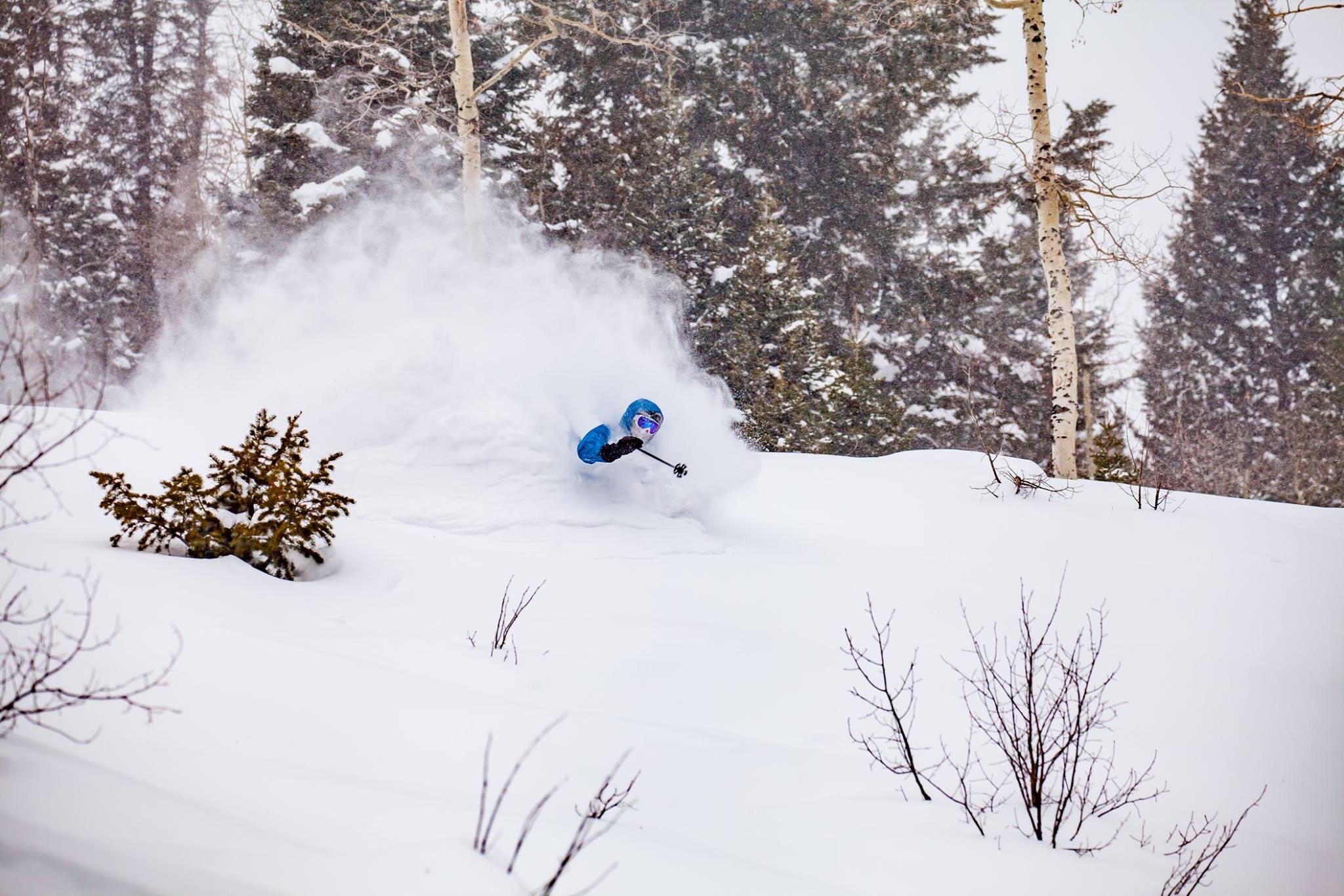 The 25 Favorite U.S. Ski Resorts Based On All Online Reviews