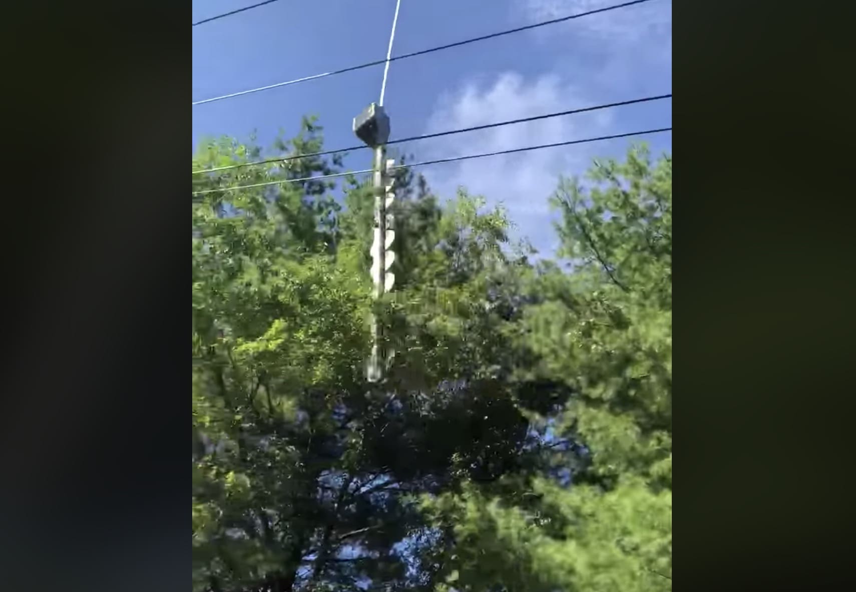 Massive Saw Blades Suspended By Helicopter Makes Quick Work of Tree