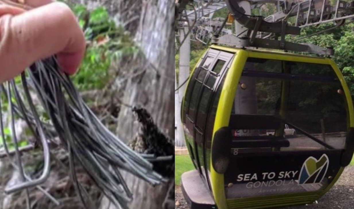 Investigation Concludes Sea To Sky Gondola Cable Deliberately Cut