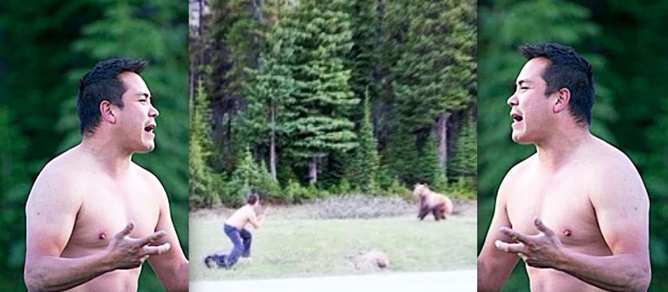 Canadian Man Fined $4,000 For Trying To Fight A Grizzly