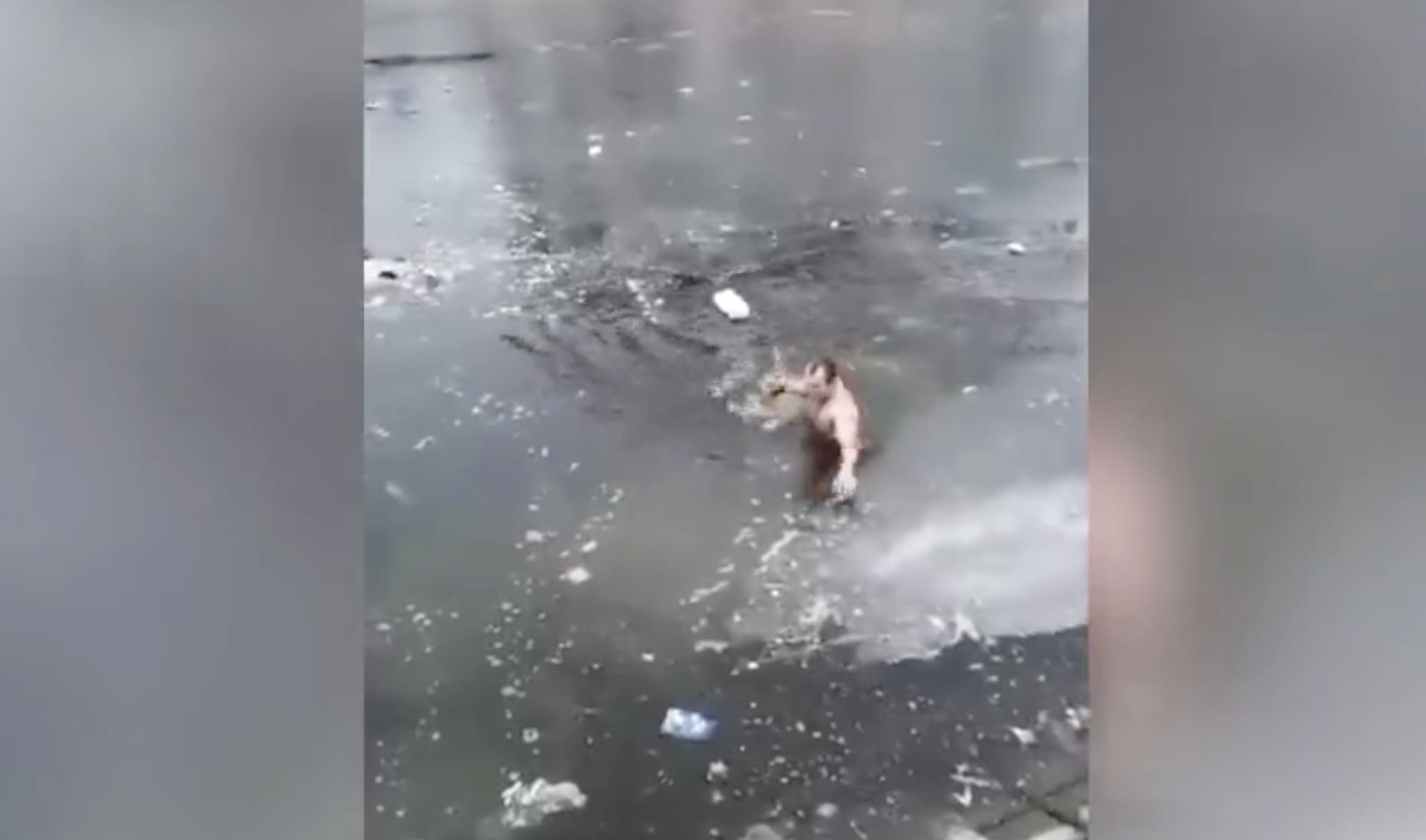 Watch: Man Plunges Into Icy River To Rescue Drowning Dog | Unofficial ...