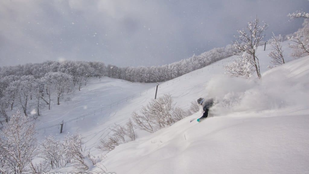 What Is Your Dream Ski Destination? (POLL)