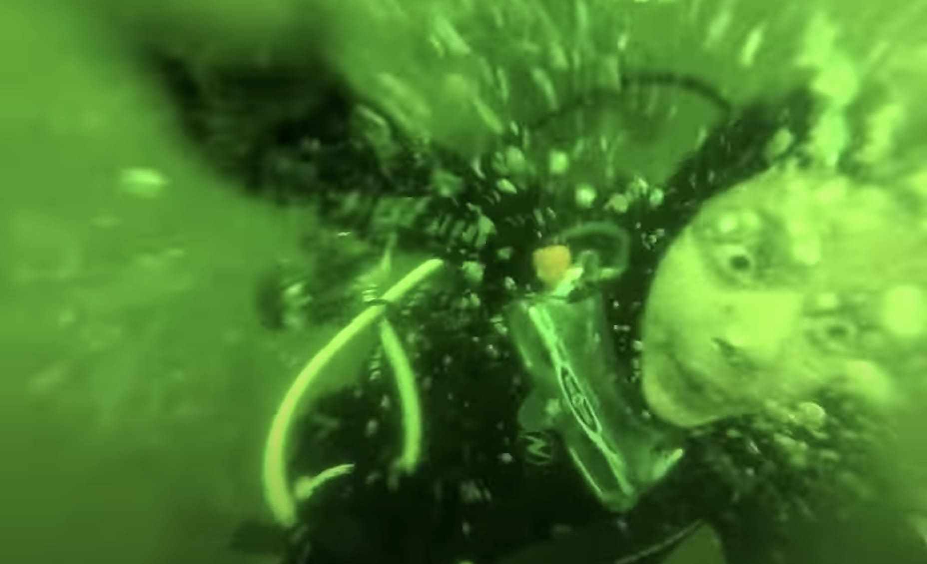 Female Scuba Diver Has Panic Attack 45 Feet Below the Surface