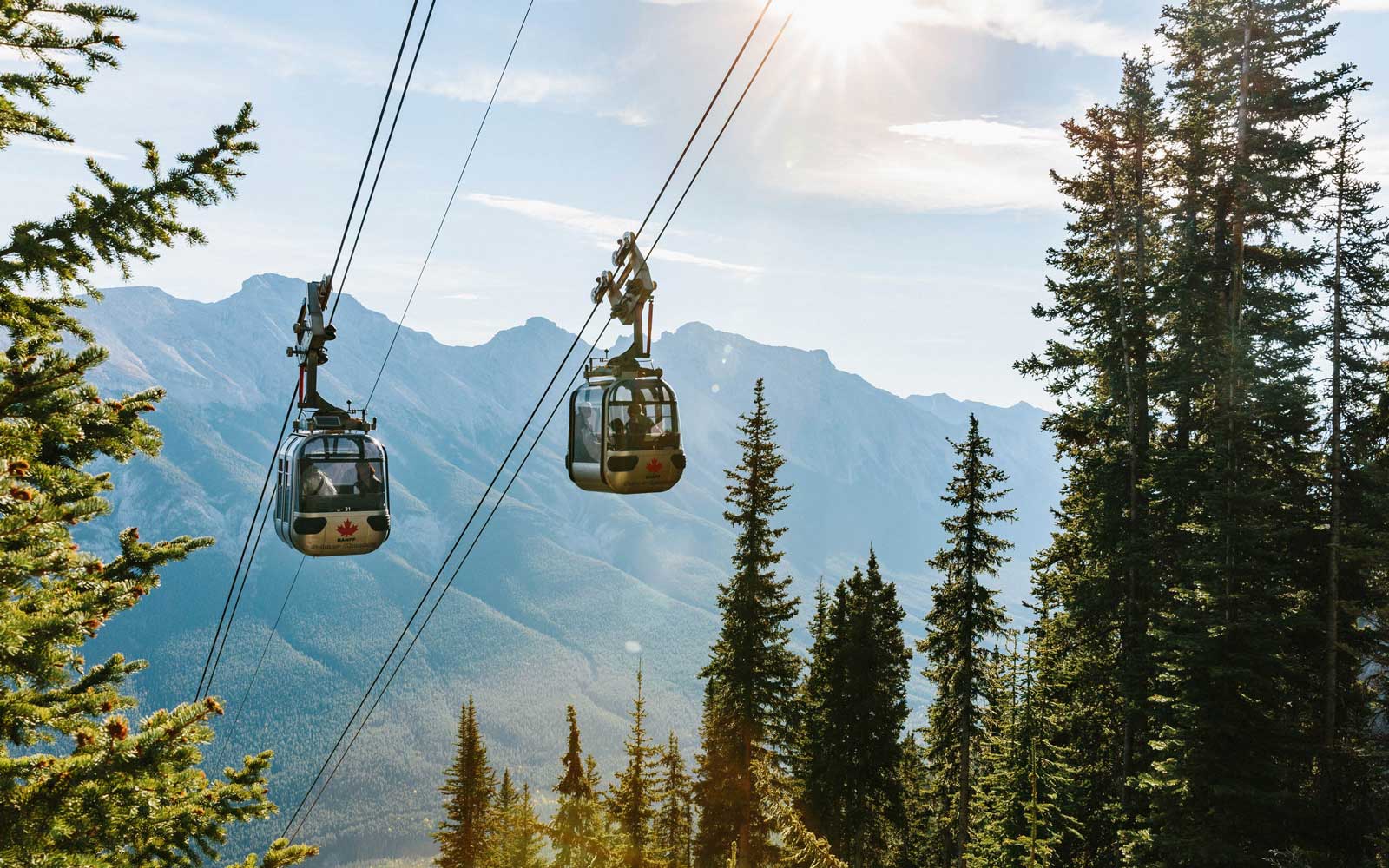 american-caught-riding-the-banff-gondola-faces-750-000-fine-and-jail