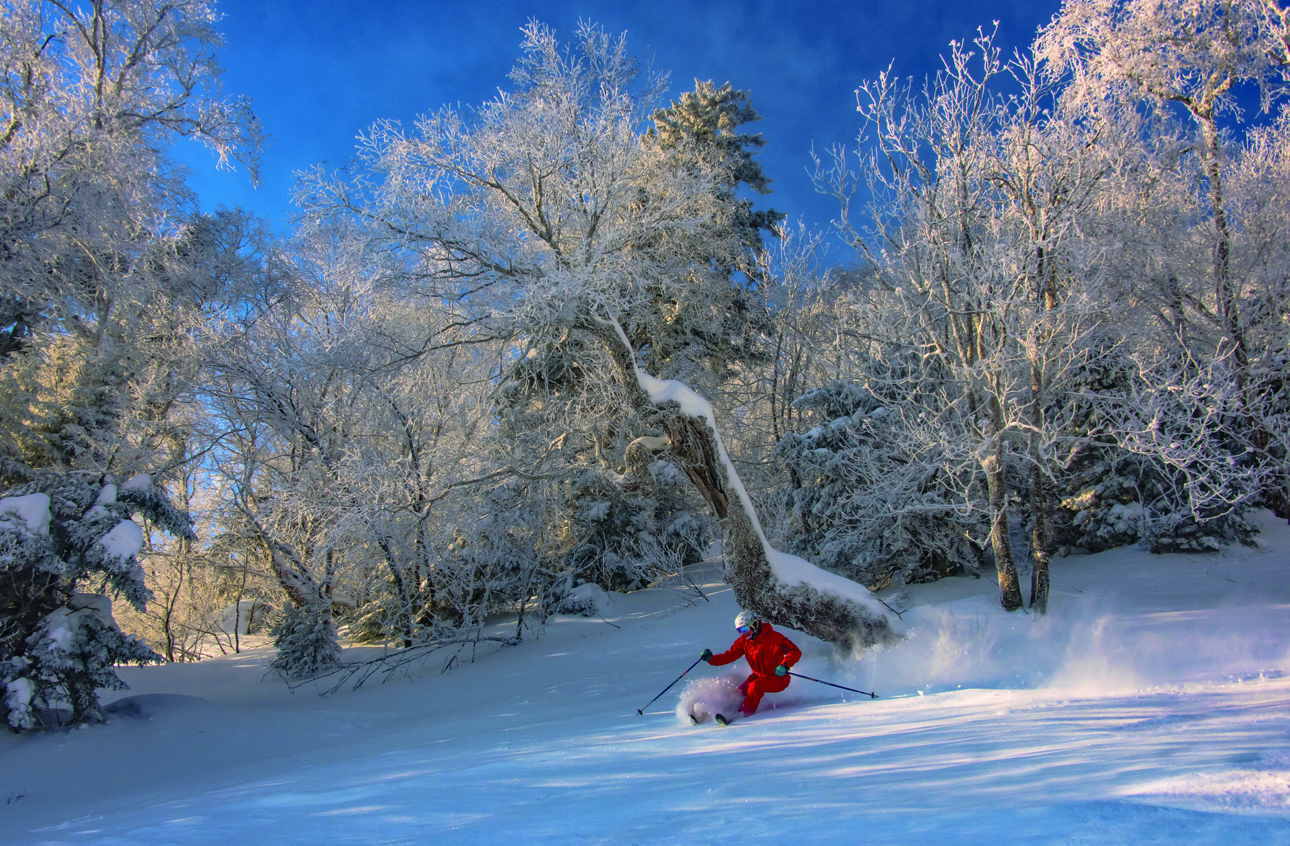 Winners of The Week: Ski Areas With The Most New Snow