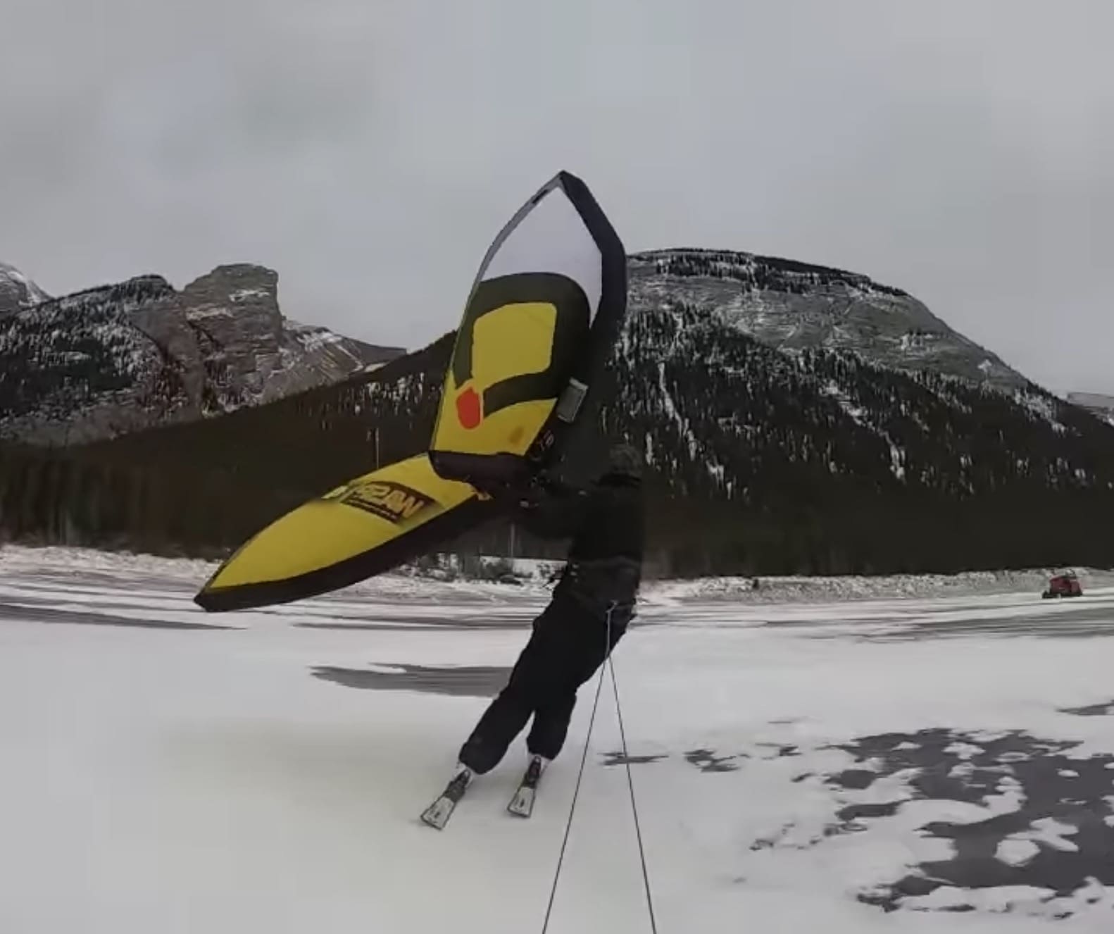 I Think We All Need SkiWings