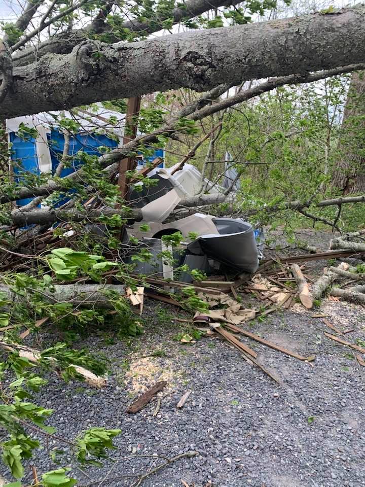 Man Trapped In Porta Potty After Tree Falls at Pennsylvania National Park Unofficial Networks