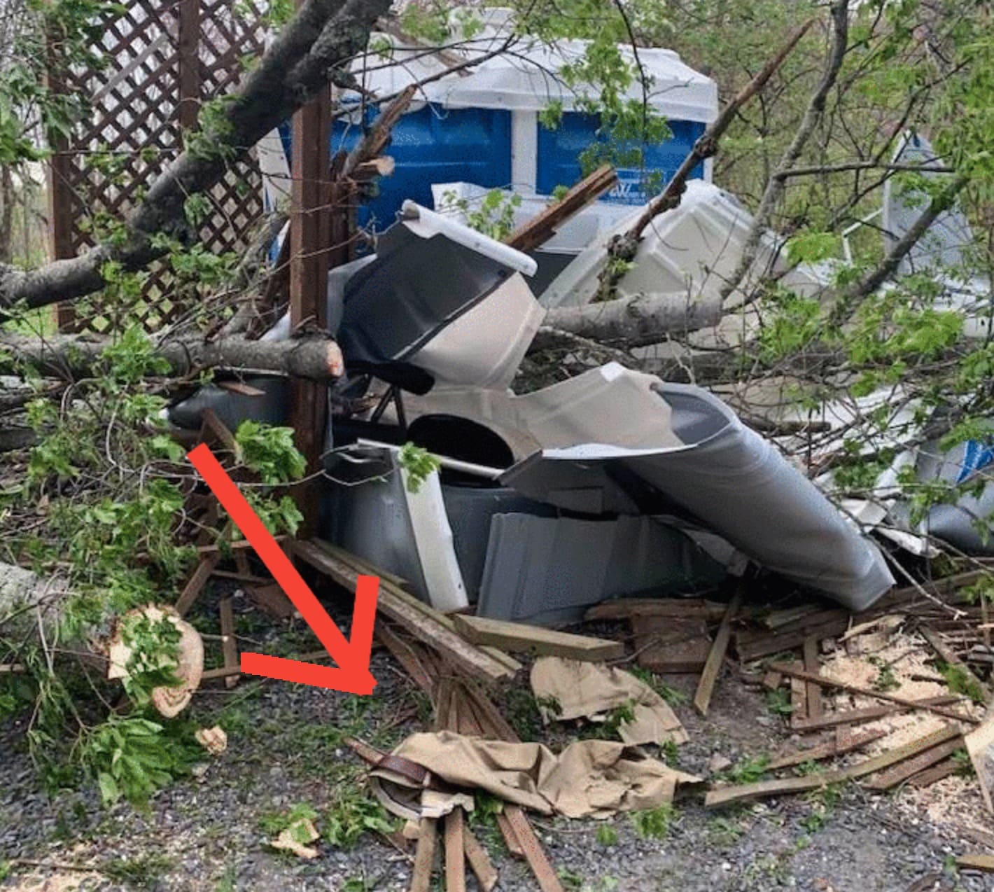 Man Trapped In Porta Potty After Tree Falls at Pennsylvania National Park Unofficial Networks