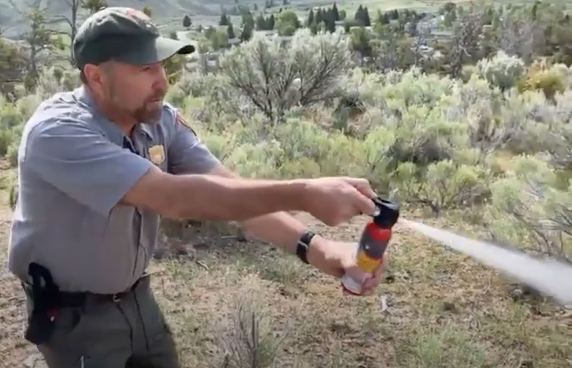 VIDEO Bear Safety & Management with Yellowstone Lead Bear Biologist