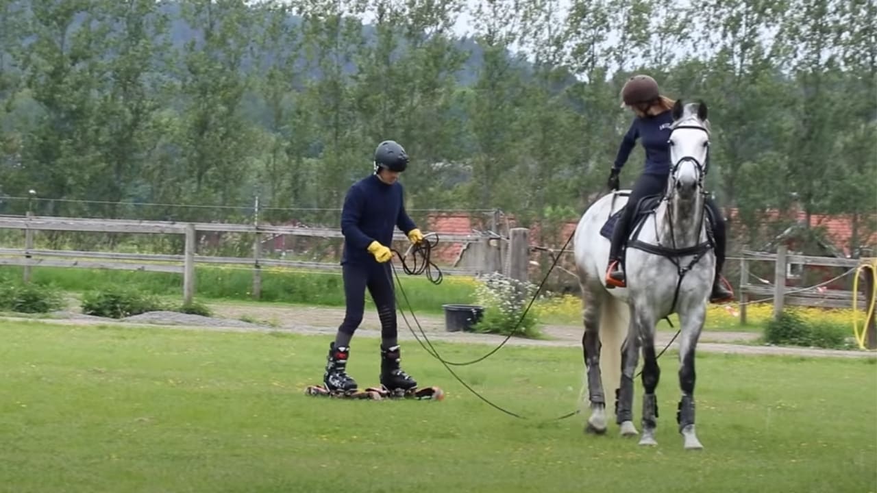 Riding Behind Horse With Grass Skis Actually Looks Like A Lot of Fun