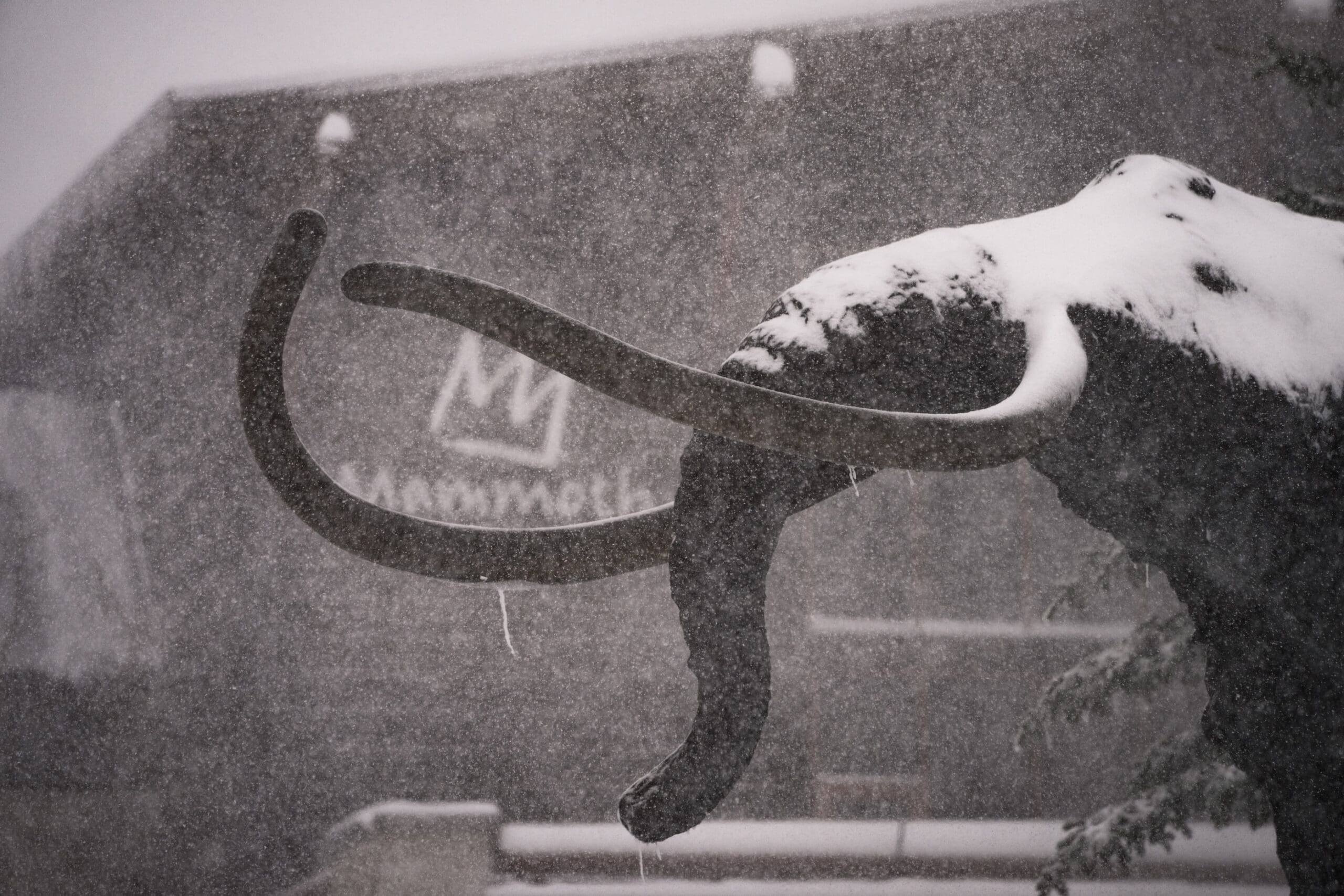 Mammoth Will Open With Excellent Conditions Thanks To Monster Snow Storm