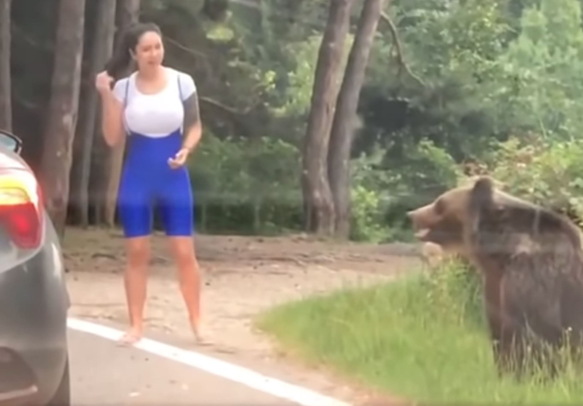 VIDEO: Wild Bear Lunges At Woman As She Poses For Picture