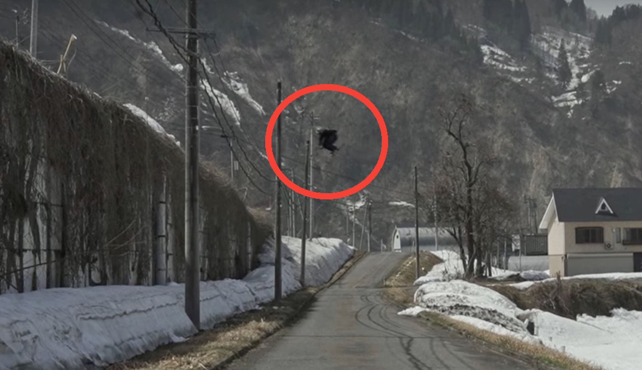 WATCH: Highly Enjoyable Street Skiing Segment From Japan
