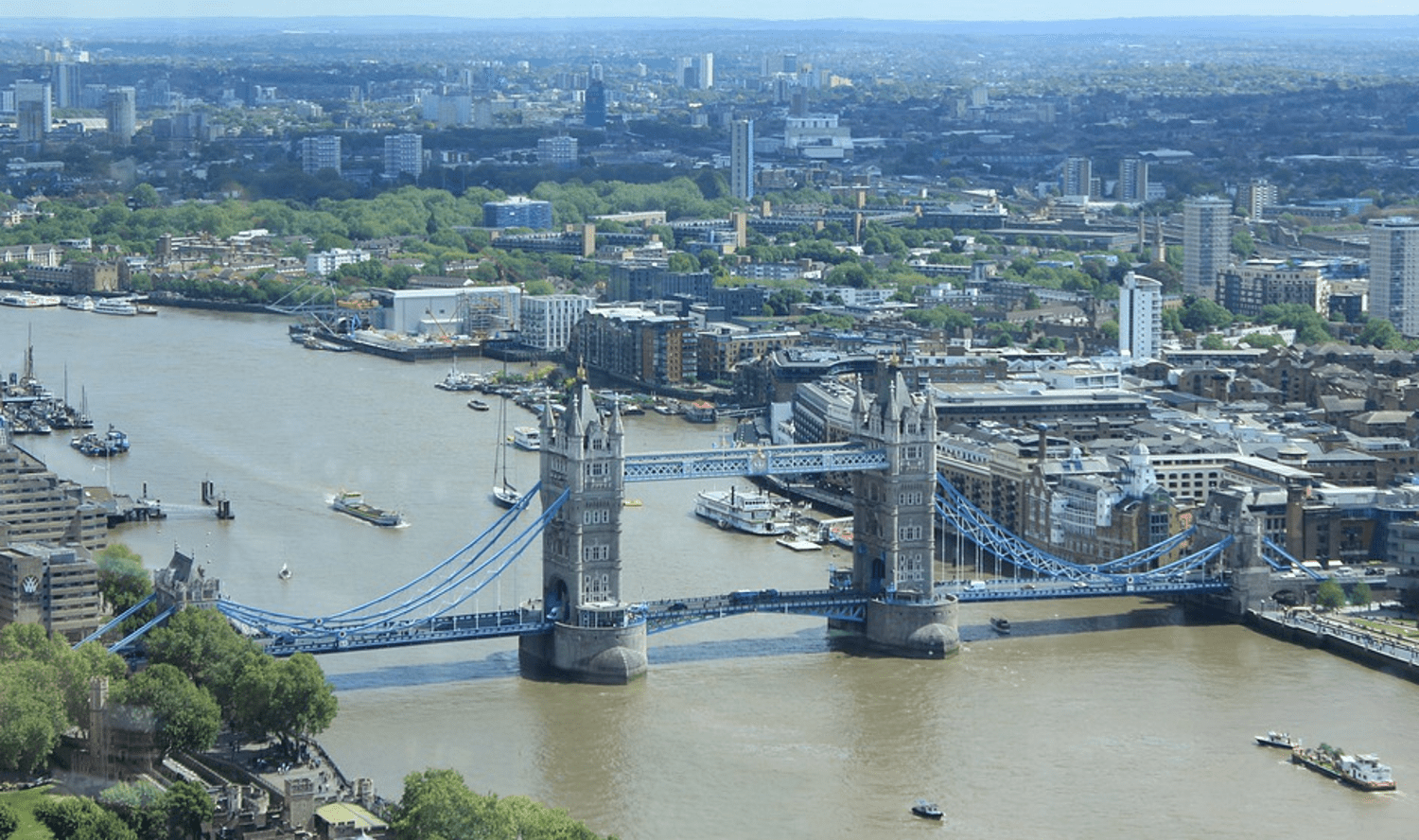Once Pronounced 'Biologically Dead', The River Thames Bounces Back